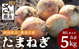 【ふるさと納税】【先行予約】鹿島市産　玉ねぎ　5kg（MLサイズ）農家直送　５月以降発送予定　A-179