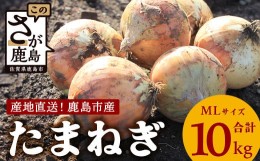 【ふるさと納税】【先行予約】鹿島市産　玉ねぎ　10kg（MLサイズ）農家直送　５月以降発送予定　B-736