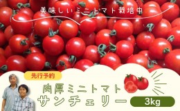 【ふるさと納税】【 先行予約 】 ミニトマト サンチェリー 3kg 7月発送 大容量 トマト プチトマト 新鮮 野菜 農家直送 3キロ おすすめ お