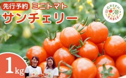 【ふるさと納税】【 先行予約 】 ミニトマト サンチェリー 1kg 7月発送 トマト 新鮮 野菜 農家直送 1キロ 人気 おすすめ ギフト 贈答 プ