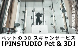 【ふるさと納税】ペットの３Dスキャンと３Dフルカラープリントによる造形（フィギュア）長辺７cm