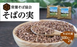 【ふるさと納税】あぶくま高原 そば そばの実 1kg ( 500g × 2個 ) 蕎麦 そば打ち  低GI ダイエット GAP FGAP 国産 おすすめ お中元 送料