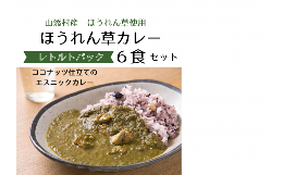 【ふるさと納税】山添村の“ほうれん草カレー”6食セット