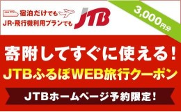 【ふるさと納税】【仙台市】JTBふるぽWEB旅行クーポン（3,000円分）