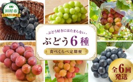 【ふるさと納税】【先行予約】＼ぶどう６種食べくらべ定期便／ 6回発送 冷蔵 高級 種無し 種なし シャインマスカット ブドウ ぶどう 品種