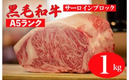 【ふるさと納税】黒毛和牛 A5ランク サーロイン ブロック 1kg (ステーキ用ソース・スパイス付)  和牛 冷蔵 ブロック肉 牛肉 ステーキ肉 