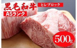 【ふるさと納税】黒毛和牛 A5ランク ヒレ ブロック 500g (ステーキ用ソース・スパイス付) 和牛 冷蔵 ブロック肉 牛肉 ヒレ肉 ヒレステー