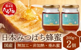 【ふるさと納税】日本みつばち 蜂蜜「天使の宝」2個 セット 【 希少 ニホンミツバチ 100％ はちみつ 高純度 高濃度 垂れ蜜 ハチミツ ジャ