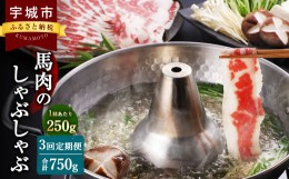 【ふるさと納税】【3か月定期便】熊本産 馬肉の しゃぶしゃぶ 約250g