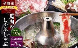 【ふるさと納税】【12か月定期便】熊本産 馬肉の しゃぶしゃぶ 約250g