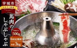 【ふるさと納税】【6か月定期便】熊本産 馬肉の しゃぶしゃぶ 約500g