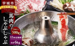 【ふるさと納税】【12か月定期便】熊本産 馬肉の しゃぶしゃぶ 約500g