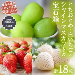 【ふるさと納税】「粒々いちご18粒」とちおとめと白いちごとシャインマスカット【令和6年12月より発送開始】（茨城県共通返礼品：石岡市