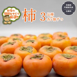 【ふるさと納税】柿 3品種食べ比べ(各7個)【令和6年10月中旬より発送開始】（茨城県共通返礼品：石岡市産） 果物 フルーツ 茨城県産 [BI4