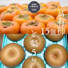 【ふるさと納税】富有柿15個 と 梨5kg 【令和6年10月より発送開始】（茨城県共通返礼品：石岡市産） 詰め合わせ 果物 フルーツ 茨城県産 