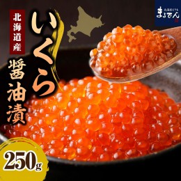 【ふるさと納税】えりも【マルデン特製】日高産いくら醤油漬250g【er002-006】