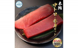 【ふるさと納税】鮪 中トロ500g・赤身400g 合せて900g 赤身と中トロのセット 赤身 マグロ まぐろ 本まぐろ 刺身 刺し身 魚 海鮮 冷凍 美