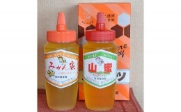 【ふるさと納税】183 とんがり容器でお届け！はちみつ２種(みかん蜜、山蜜)各　500g(A183-1)