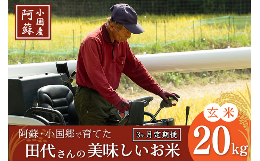 【ふるさと納税】【定期便3回】阿蘇小国産 令和5年 田代さんの美味しい玄米20kg