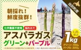 【ふるさと納税】[1.5-260]　北海道当別町産 除草剤不使用 朝採れ アスパラガス グリーン 1kg 700g ＋ パープル 300g