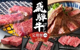 【ふるさと納税】【定期便】飛騨牛（全３回）（ステーキ /焼肉 / ブロック[塊] ) 計1.6kg 全3回  | 焼肉 ステーキ カルビ  牛 定期 【飛