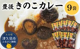 【ふるさと納税】豊後きのこカレー 9袋 レトルトカレー 中辛タイプ 保存食 常温保存 非常食 ご当地カレー 椎茸 お取り寄せ グルメ 大分県