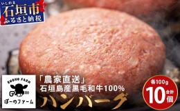 【ふるさと納税】「農家直送」石垣島黒毛和牛１００％ハンバーグ 100g×10個 【 沖縄県 石垣 直送 黒毛 和牛 ハンバーグ 】 BO-1