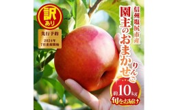 【ふるさと納税】2024年発送　先行予約　【訳あり】園主のおまかせりんご【約10？】[6099440]