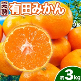 【ふるさと納税】みかん 完熟有田みかん 約 3kg 有田マルシェ《11月下旬-1月中旬頃出荷予定》 和歌山県 日高町 みかん 有田 みかん 柑橘 