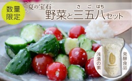 【ふるさと納税】【 先行予約 】 夏の宝石野菜と三五八(さごはち) セット 数量限定 野菜 夏野菜 やさい 三五八 さごはち 発酵 発酵食品 