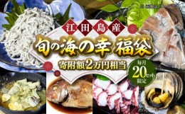 【ふるさと納税】【何が届くかお楽しみ】旬の海の幸福袋 寄附額2万円相当 魚介類 海産物 海鮮 刺身 広島 江田島市/七宝丸 [XBY005]