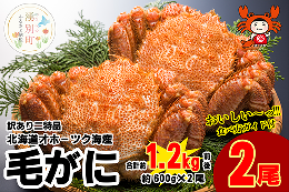 【ふるさと納税】訳あり二特品 北海道 オホーツク産 毛ガニ  600g前後×2尾 蟹 かに カニ 毛蟹 海鮮 魚介 国産 冷凍 産地直送