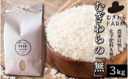 【ふるさと納税】むぎわらの「無」3kg【米 こめ 白米 ひのひかり ヒノヒカリ ごはん ご飯 おにぎり 無農薬 家庭用 贅沢 人気 食品 オスス