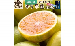 【ふるさと納税】家庭用　極早生有田みかん3kg+90g（傷み補償分）【YN26・ゆら早生】【わけあり・訳あり】＜2024年9月より発送＞