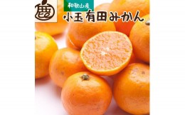 【ふるさと納税】厳選　小玉な有田みかん3.5kg+105g（傷み補償分）【光センサー選果】＜11月より発送＞