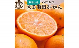 【ふるさと納税】家庭用　大きな有田みかん5kg+150g（傷み補償分）【わけあり・訳あり】【光センサー選果】＜11月より発送＞