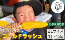 【ふるさと納税】【先行予約】甘ーい とうもろこし ゴールドラッシュ 朝採り 約 5kg 2L サイズ 11~13本 2024年 8月中旬より順次発送【こ