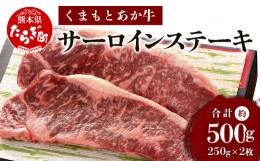 【ふるさと納税】【6月発送】 くまもと あか牛 サーロイン ステーキ 約500g ＜約250g×2枚＞ 冷凍 和牛 国産牛 肉 牛肉 あか牛 赤身 熊本