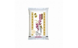 【ふるさと納税】【定期便】無洗米佐渡産コシヒカリ2kg×3回