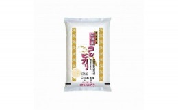 【ふるさと納税】【定期便】佐渡産コシヒカリ2kg×3回