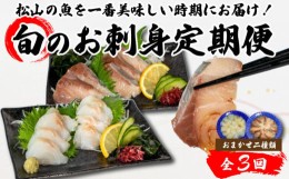 【ふるさと納税】＜夏からお届け＞【全3回】 旬のお刺身定期便 (2~3人前×2種類) 魚 切身 鮮魚 刺身セット 刺身2種盛り 刺身 お刺身 お刺