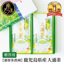 【ふるさと納税】【贈答用】鹿児島県産緑茶 大浦茶 一番茶2本セット（100g×2） ◆2024年産新茶