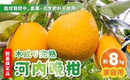 【ふるさと納税】68-145　進栄　農薬を使わず栽培!!　木成り完熟河内晩柑（家庭用）約8kg