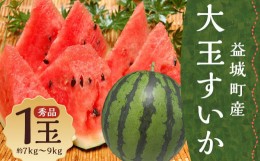 【ふるさと納税】大玉すいか 秀品 1玉 約7kg9kg 送料無料 スイカ すいか 益城町産 お取り寄せ お取り寄せグルメ 西瓜 フルーツ 【2024年5