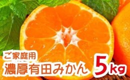 【ふるさと納税】＜11月上旬〜＞【先行予約　2024年11月上旬〜11月下旬発送】農園直送!完熟有田みかん【サイズ混合】5kg  ※北海道・沖縄