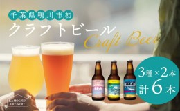 【ふるさと納税】【KAMOGAWA BREWERY】鴨川クラフトビール ３種６本　[0013-0023]