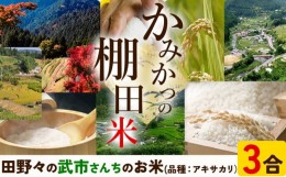 【ふるさと納税】かみかつ棚田未来づくり協議会 米 かみかつの棚田米 武市さんちのお米 アキサカリ レターパック配送 3合《30日以内に出