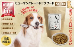 【ふるさと納税】【定期便】国産 無添加 ドッグフード「いのちのごはん」500g×全6回【毎月配送コース】 099Z174