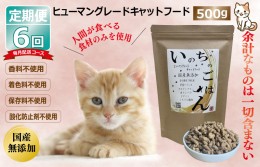 【ふるさと納税】【定期便】国産 無添加 キャットフード「いのちのごはん」500g×全6回【毎月配送コース】 099Z176