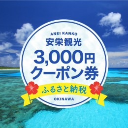 【ふるさと納税】安栄観光 3,000円クーポン券